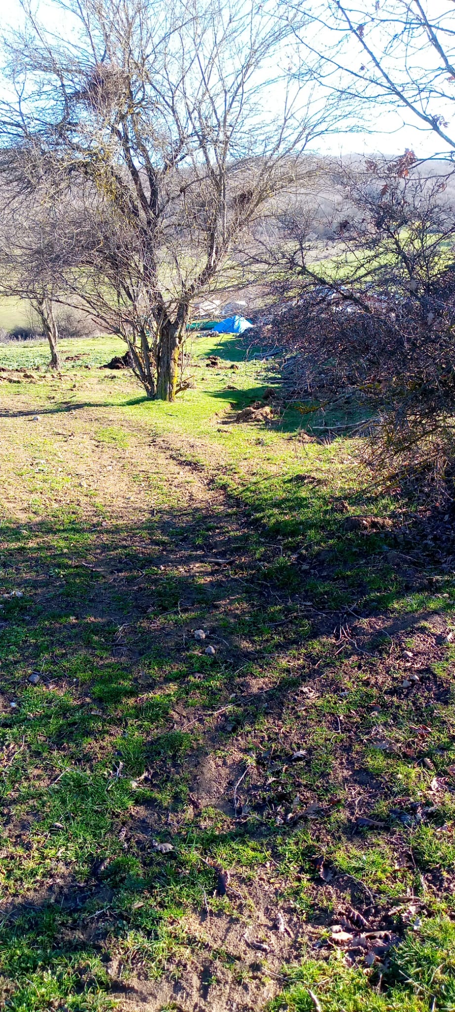 Bilecik Pazaryeri Karadede köyünde 5522 m2 Arsa - BİLECİK PAZARYERİ fotoğraf 11